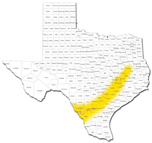 Shaleoile map of South Texas